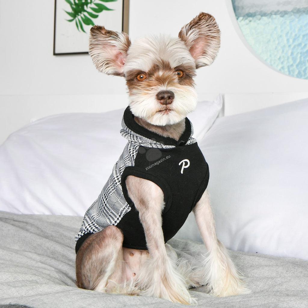Buzo KEEGAN Puppia