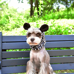 Cuello Abrigo Leonard de Puppia