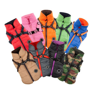 Campera Mountaineer II Puppia